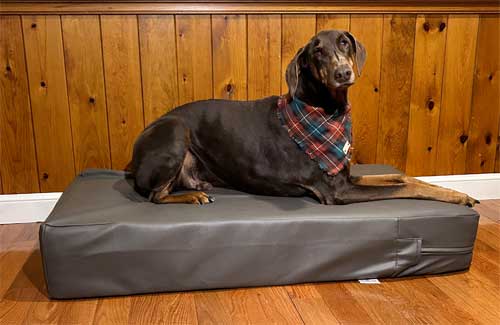 High dog beds hotsell