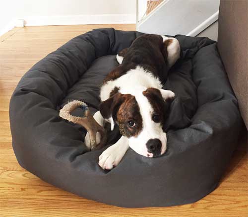 Mammoth Oblong Dog Beds